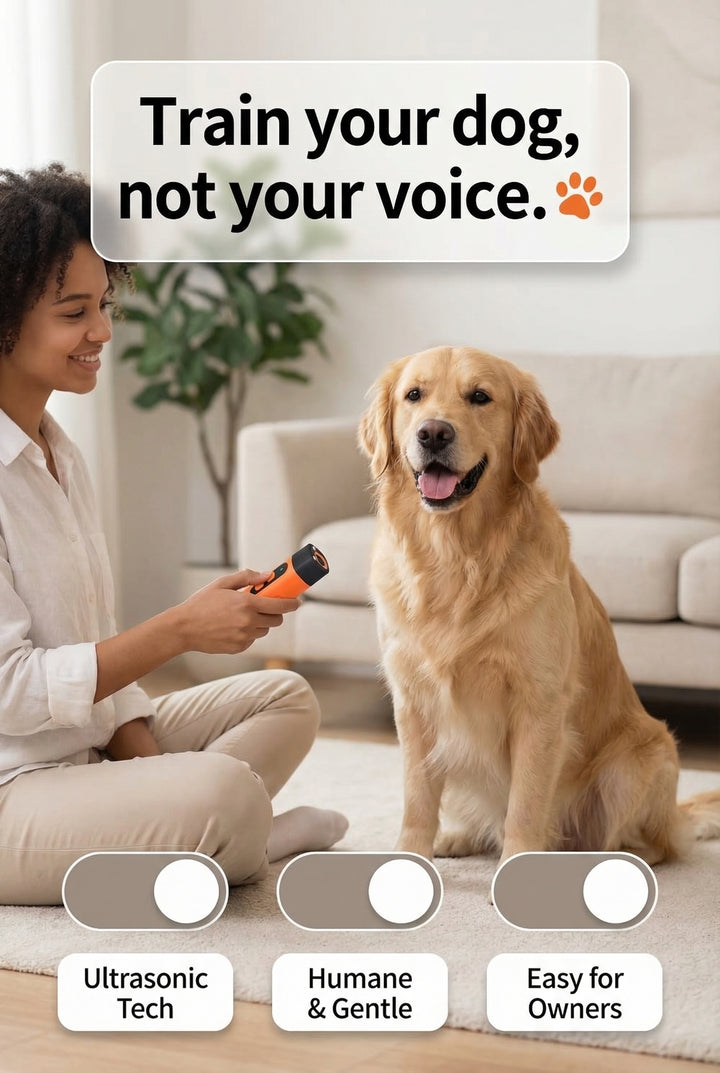 Silent Ultrasonic Pet Behavior Corrector