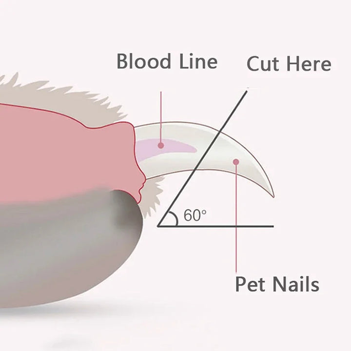 Professional LED Pet Nail Clippers - Safe Grooming Trimmer